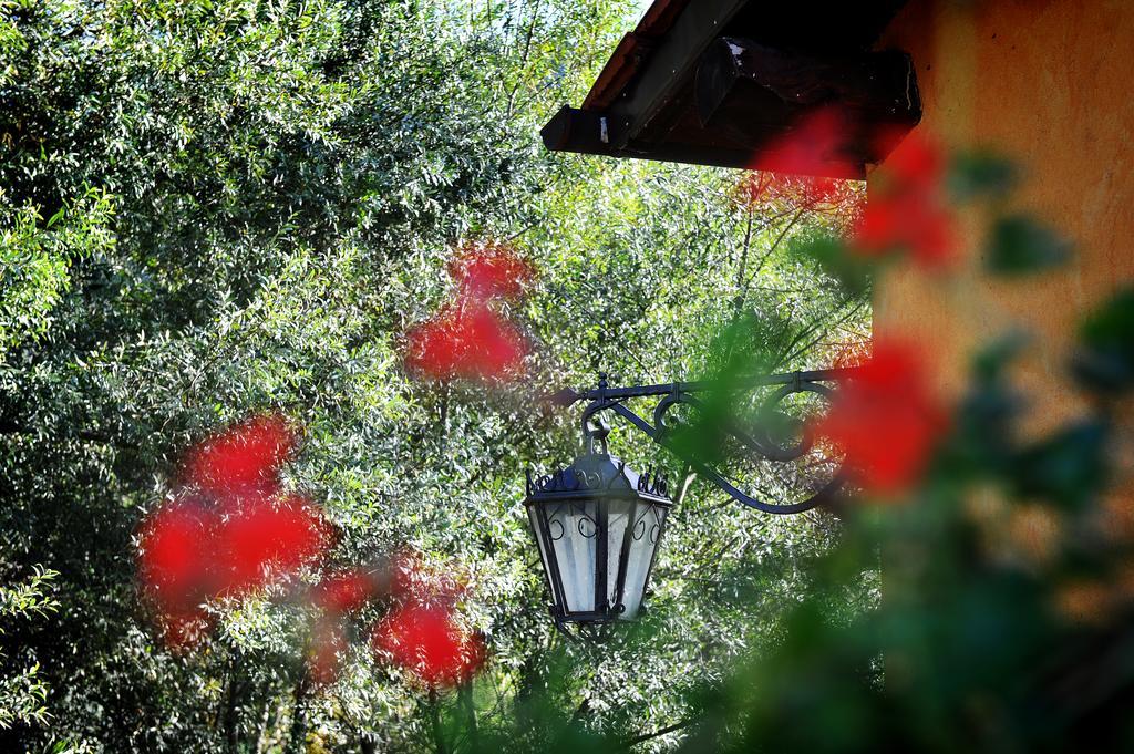 L'Antica Mola Villa Castel Madama Phòng bức ảnh