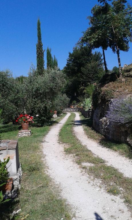 L'Antica Mola Villa Castel Madama Phòng bức ảnh