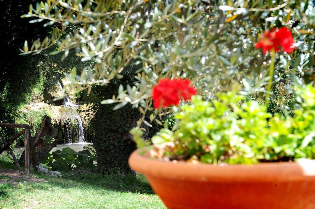 L'Antica Mola Villa Castel Madama Phòng bức ảnh